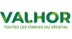 logo Valhor